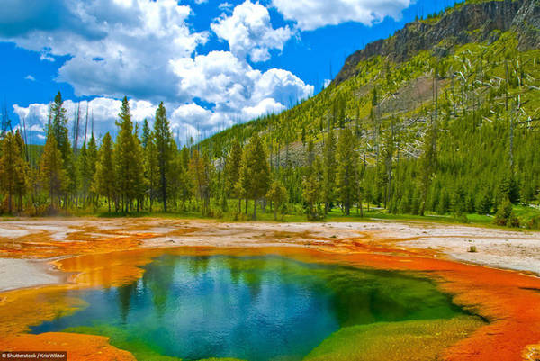 Vườn quốc gia Yellowstone: Với tổng diện tích bao phủ gần 9.000 km2, 96% công viên này nằm ở Wyoming, 3% ở Montana và 1% ở Idaho. Nơi đây có các mạch nước chứa nhiều loại vi khuẩn đầy màu sắc và nhiều loại động, thực vật đang trong tình trạng nguy cấp.