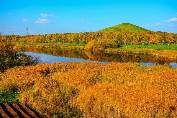 Mùa thu ở Nhật Bản bắt đầu từ cuối tháng 9 và trải dài tới hết tháng 11. Hokkaido là một trong những nơi đầu tiên của đất nước mặt trời mọc chứng kiến cảnh sắc chuyển dần từ xanh sang vàng.