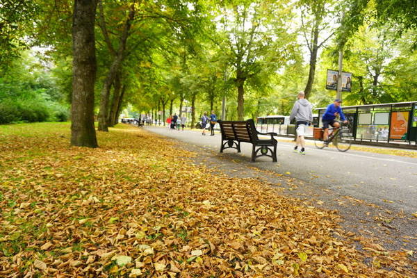 Mùa thu ở Stockholm cũng như nhiều thành phố khác ở châu Âu đôi khi khá buồn. - Ảnh: C.N.