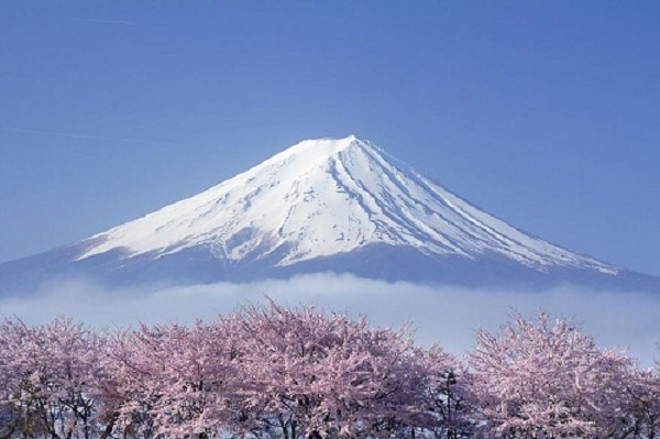 Núi Phú Sĩ hùng vỹ của Nhật Bản. Ảnh: Pinterest.