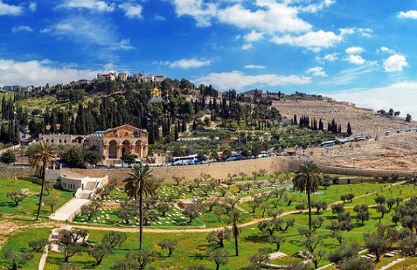 Đỉnh Olives Đỉnh Olives cũng là một điểm thu hút khách hành hương, nhưng cả những người không theo tôn giáo nào cũng có thể tới để ngắm Thành Cổ với góc nhìn rộng khắp từ đỉnh núi.