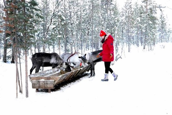 Từng đặt chân qua gần 40 quốc gia, Crystal Huyền Trang lần đầu tiên tới ngôi làng của người Saami, Nga mùa đông năm nay. Nằm cách Murmansk - thành phố lớn nhất thế giới trong vòng Bắc cực - 110 km, làng Saami được mệnh danh là bảo tàng dân tộc ngoài trời, nơi bạn sẽ trải nghiệm một nền văn hóa bản địa độc đáo ở một trong những vùng đất khắc nghiệt nhất thế giới.