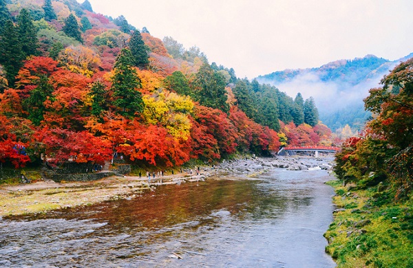 Tọa lạc ở thành phố Toyota (tỉnh Aichi, Nhật Bản), thung lũng Korankei nằm trong top 3 điểm ngắm lá vàng lá đỏ đẹp nhất xứ sở mặt trời mọc. Hàng năm, mỗi dịp cuối thu, chốn này lại trở nên đông đúc hơn bởi khách du lịch kéo tới chiêm ngưỡng tuyệt tác của thiên nhiên.