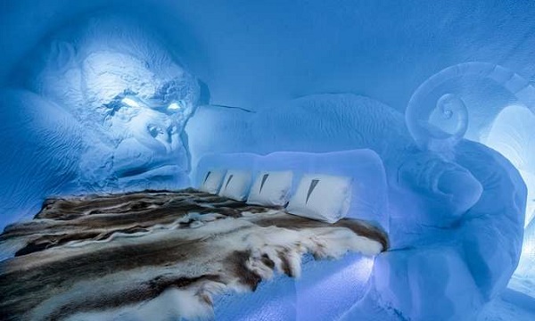 Năm nay, khách sạn được thiết kế theo chủ đề Phi hành gia vũ trụ và Nữ thần băng giá, do 36 nghệ sĩ khác nhau đến từ 17 quốc gia thực hiện. Đây là căn phòng King Kong, được thiết kế bởi nghệ sĩ Lkhagvadorj Dorjsuren.