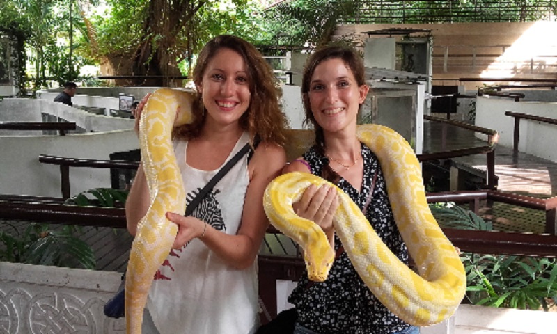 Trang trại nuôi hàng nghìn con rắn ở Bangkok