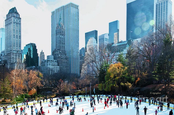 Trượt băng ở Công viên Trung tâm tại New York, Mỹ  Bắt đầu mở từ năm 1949, sân trượt băng Wollman Rink ở Công viên Trung tâm của thành phố New York đã trở thành điểm đến hấp dẫn vào mỗi mùa đông. Tới đây du khách có thể trượt băng từ sáng đến tối. Sân trượt duy trì từ cuối tháng 10 tới đầu tháng 4 năm sau tùy thuộc nhiều vào điều kiện thời tiết. Ảnh: fineartamerica.