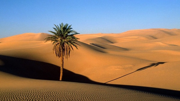 tranh vẽ sa mạc