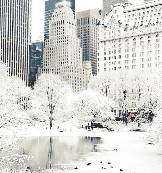 Bắc Mỹ đang trải qua đợt lạnh kỷ lục, nhiều nơi nhiệt độ xuống tới âm 50 - 60 độ C, trong đó có nhiều thành phố lớn. Giá lạnh cản trở sinh hoạt của người dân nhưng cũng mang đến hình ảnh khác lạ, thú vị cho khách du lịch. Một góc quảng trường thành phố New York được phủ một màn tuyết trắng như trong truyện cổ tích.