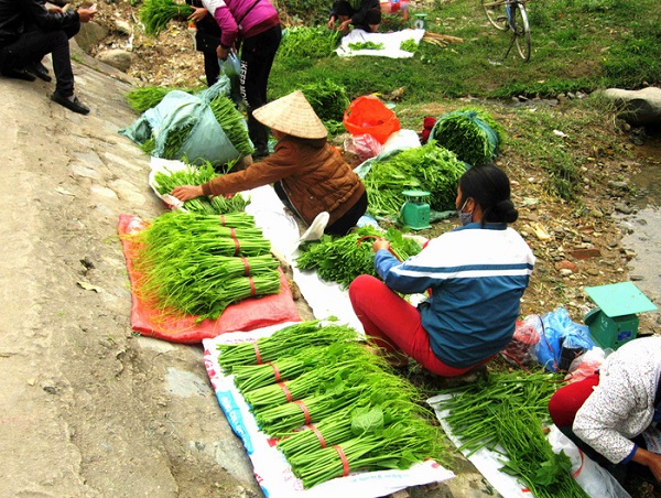 Hằng ngày, những sơn nữ mang ngọn rau su su đến bày bán ở khu du lịch Tây Thiên