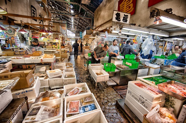 Chợ cá Tsukiji - Ảnh: Trip Designers
