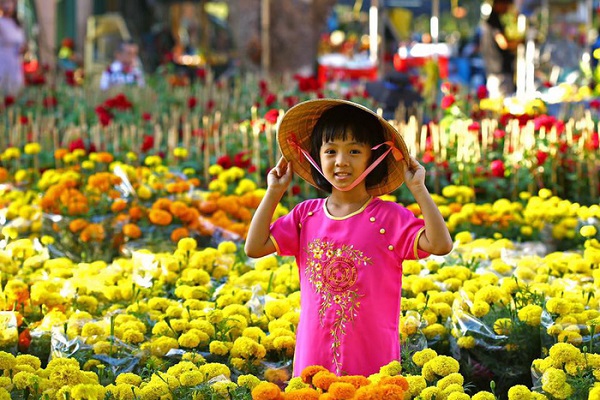 Hoa vạn thọ thu hoạch tại Làng hoa Sa Đéc mỗi dịp tết