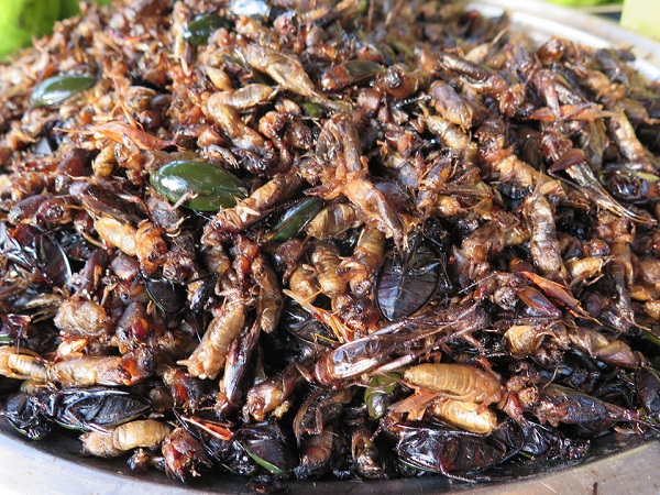 Thưởng thức ẩm thực Campuchia: Dù không quá nổi bật như ẩm thực Thái Lan hay Việt Nam, đồ ăn Campuchia vẫn có những nét độc đáo riêng, mang đặc trưng của ẩm thực người Khmer, trong đó có những món ăn đặc biệt được chế biến từ côn trùng. Ảnh: Biorambler.