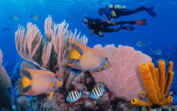 Belize Barrier Reef, Belize: Belize Barrier Reef có một trong những rạn san hô dài nhất ở Tây bán cầu, hố ngầm khổng lồ Great Blue Hole, là điểm thu hút khách du lịch hàng đầu của Belize và được Unesco công nhận là di sản thế giới. Belize Barrier Reef gồm các đảo san hô, bãi cát, rừng ngập mặn, đầm phá ven biển, là nơi sinh sống của rùa, lợn biển và cá sấu. Tuy nhiên, toàn bộ khu vực đang bị đe dọạ bởi ô nhiễm biển, cũng như việc không kiểm soát được các hoạt động du lịch, vận tải hay đánh cá. Ảnh: Jeff Hunter/Getty.