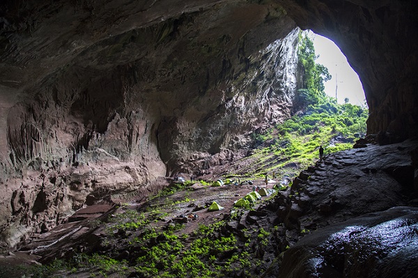 Từ tháng 1/2018, tỉnh Quảng Bình cho phép mở tour thám hiểm đến Pygmy, hang lớn thứ tư thế giới nằm sâu trong Vườn quốc gia Phong Nha - Kẻ Bàng, thuộc huyện Bố Trạch.