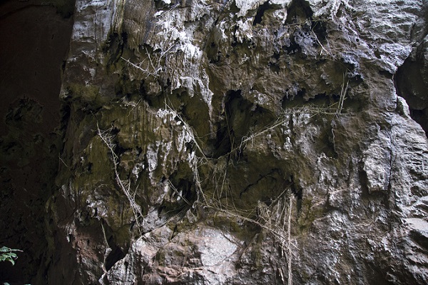 Tại cửa ra của hang, du khách có thể thấy nhiều dây rừng và tre được người địa phương cột lại với nhau để đu lên thành hang khai thác tổ yến, mật ong. Việc này đến nay không còn do quy định bảo vệ rừng. Hang được người địa phương phát hiện vào năm 1997, sau đó được Hiệp hội hang động Hoàng gia Anh thám hiểm.