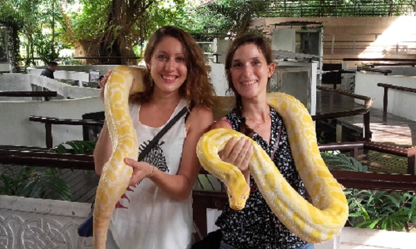 Du khách nước ngoài vui đùa bên rắn ở Trại Rắn Bangkok. Ảnh: WordPress.