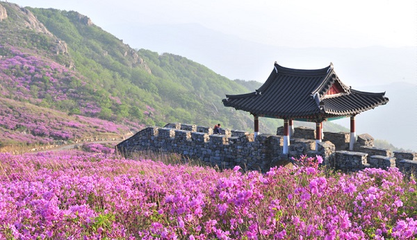 Núi Hwangmaesan: Một trong những địa điểm nổi tiếng ở Sancheong phải nhắc đến là núi Hwangmaesan. Ngọn núi này cao 1.108 m, gồm 3 đỉnh núi là Habong, Jungbong và Sangbong, nằm giữa Sancheong và Hapeon. Du khách đến đây vào mùa xuân sẽ được ngắm hoa đỗ quyên nở khắp các triền núi. Khi tới đây vào mùa hè, bạn sẽ cảm nhận được không gian thoáng mát, dễ chịu. Khi thu sang, cả ngọn núi ngập trong tiếng chim hót khắp nơi. Du khách tới vào mùa đông có thể sẽ được ngắm đỉnh núi phủ tuyết. Ảnh: Feedtyi.