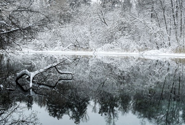 Những hàng cây bên hồ Xanh phủ tuyết trắng - Ảnh: Sputnik/Maksim Bogodvid