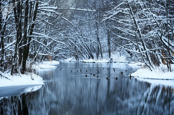 Cảnh đẹp mùa đông tuyết trắng bao phủ hồ Xanh - Ảnh: Sputnik/Maksim Bogodvid