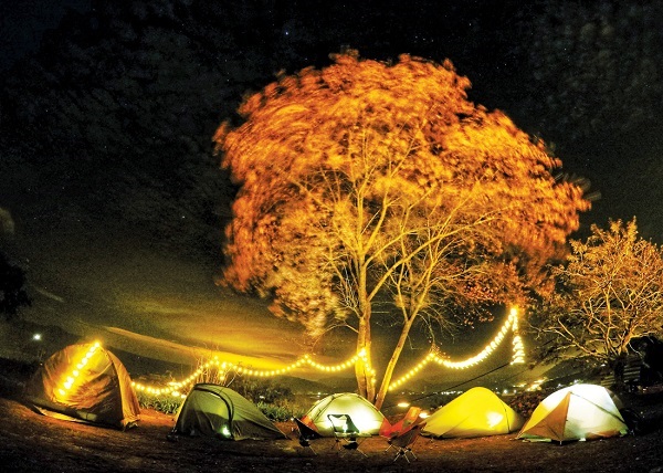 Cắm trại dưới bóng cây anh đào - Ảnh: TOẠI NGUYỄN