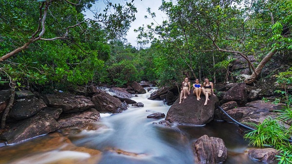 Ngoài hoạt động tắm suối, nhiều người ưa khám phá có thể đi bộ trong cánh rừng nguyên sinh bao bọc con suối. Ảnh: Alb Pictures.