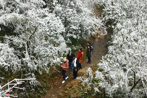 Tuyết bắt đầu rơi ở đèo Ô Quy Hồ cách thị trấn Sa Pa 10 km từ 8h ngày 31/1.