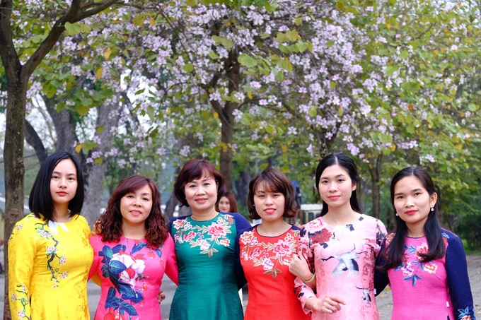Chị Khánh Ly (áo vàng) cùng đồng nghiệp dành chút thời gian diện áo dài và chụp ảnh lưu niệm mùa hoa ban nở ở Hoàng Diệu. Hoa ban ở đây đã nở rất nhiều và có thể còn tươi tới hết tuần này nếu thời tiết thuận lợi, không mưa lớn.