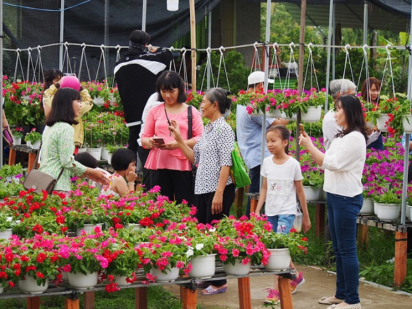 Là thành phố hoa lớn nhất miền Tây, Sa Đéc cung cấp hoa cảnh cho nhiều nơi. Từ đầu tháng Chạp, nơi đây đã thu hút đông du khách về tham quan. Đường hoa Sa Nhiên – Cai Dao với dài độ 2,3 km là nơi tập trung đông nhà trồng hoa, thuận tiện cho khách tham quan.