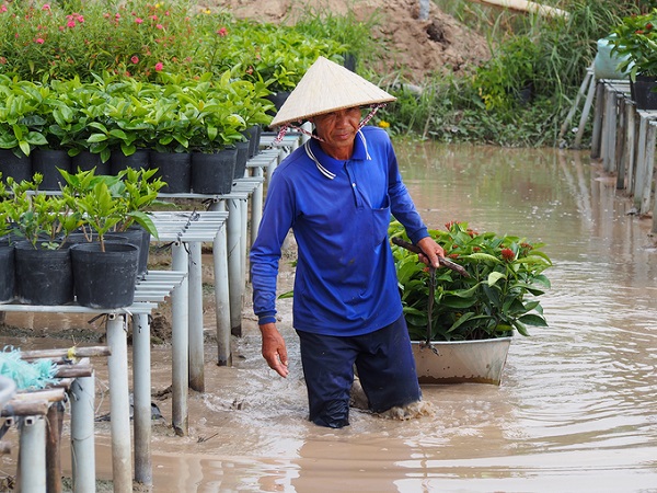 Thú chơi hoa ngày Tết của người Việt ngày càng phát triển. Một người trồng hoa lâu năm tại Sa Đéc cho biết: "Do đây là nghề truyền thống nhiều đời, chúng tôi hiện phải giữ và phát triển, để vừa có thêm tiền sinh hoạt cho gia đình mà cũng mang lại không khí của ngày Tết từ việc buôn bán cho bạn hàng, du khách"