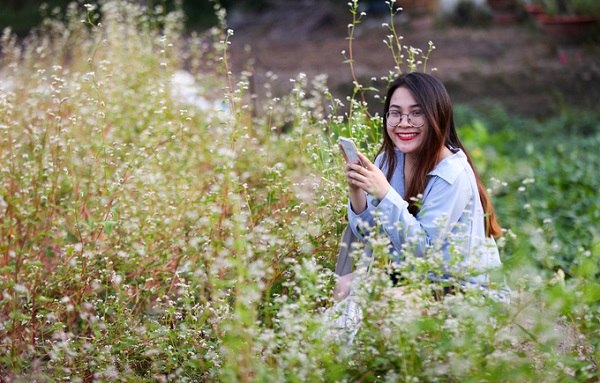 Trong vườn hoa rộng gần 10.000 m2 (xã Nhị Bình, huyện Hóc Môn) có những luống đang được trồng tam giác mạch, loài hoa xứ lạnh chỉ có ở vùng núi phía bắc Việt Nam.