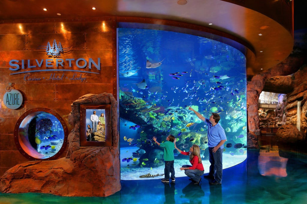 Du khách sẽ được ngắm nhìn một đại dương thu nhỏ tại The Aquarium. Ảnh: silvertoncasino