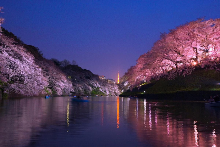 Chidorigafuchi - Ảnh: ZEKKEI Japan