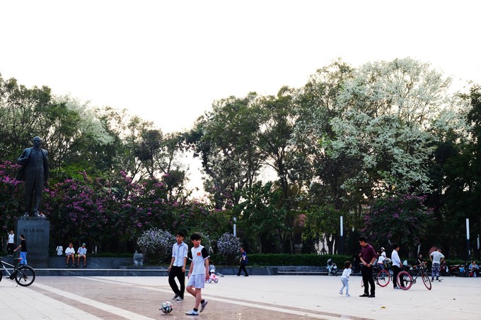 Xung quanh tượng đài Lê Nin trong công viên, bạn cũng bắt gặp rất nhiều cây mọng nước đang khoe sắc, xen lẫn những bông hoa tím nếu đi trên đường Điện Biên Phủ.