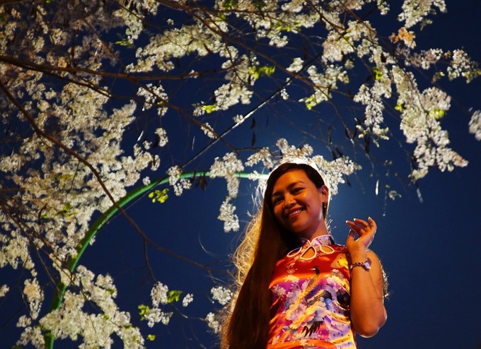 Thùy Anh, người Đà Lạt, hiện đang học ở Hà Nội, tình cờ thấy hoa nở bên đường Thanh Niên rất đẹp nên dừng xe chụp vài kiểu ảnh kỷ niệm quãng thời gian ở thủ đô.