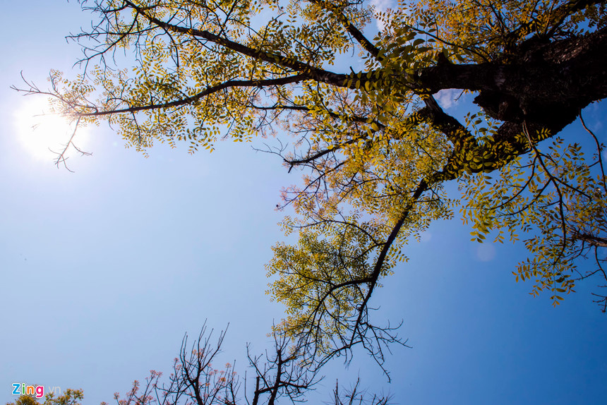 Khi lộc bắt đầu nảy lá trên cành cây khô, Huế như một bức tranh phong cảnh tuyệt đẹp.