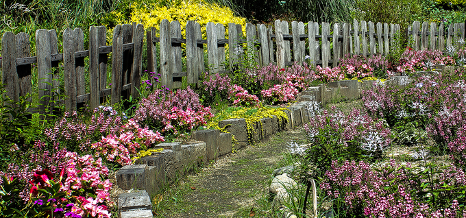 Một số địa điểm gợi ý để ngắm hoa mùa xuân ở Nhật Bản là vườn thực vật Kyoto, dốc Keage ở Kyoto; công viên Nagai, công viên Tsurumi Ryokuchi, công viên Yamada Ike ở Osaka.