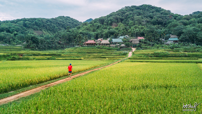 Ông David Lloyd, giám đốc giải đua đến từ Topas Travel, chia sẻ lý do ông chọn Pù Luông bởi đây là nơi có phong cảnh ấn tượng nhất Việt Nam, sở hữu những đường chạy địa hình tốt nhất.
