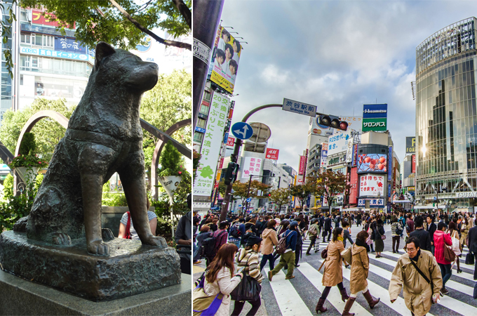 Giao lộ Shibuya là nơi bạn không thể bỏ qua trên hành trình tham quan Tokyo.
