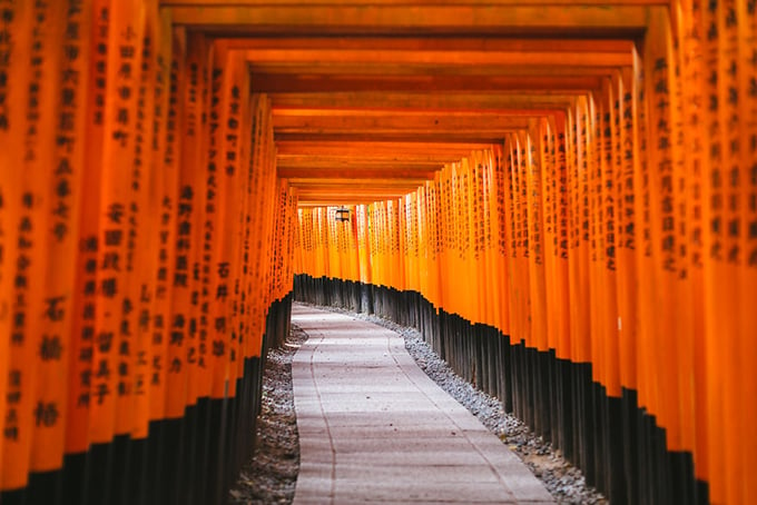 Ngôi đền Fushimi Inari Shrine ở phía Nam thành phố Kyoto. Công trình trở nên nổi danh và quen thuộc với du khách bởi con đường đỏ rực màu của những chiếc cổng torii xếp nhau san sát, tạo thành một "đường hầm" không đâu có được.