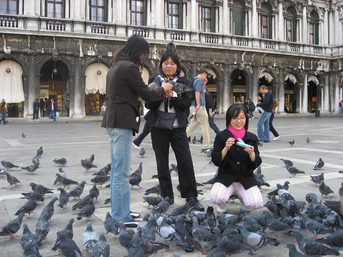 Du khách Việt Nam đang chơi đùa với những chú bồ câu thân thiện ở Roma. Ảnh: Lê Thu Lan Du khách Việt Nam đang chơi đùa với những chú bồ câu thân thiện ở Roma. Ảnh: Lê Thu Lan