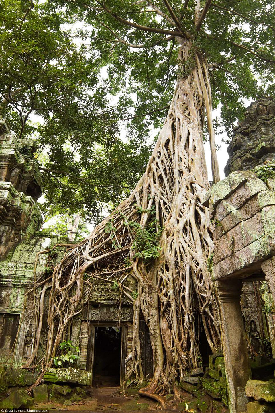Một trong những lối vào ngôi đền Angkor Wat nổi tiếng nằm ở Siem Reap, Campuchia, có chiều dài hơn 800 m và được bao quanh bởi một hào nước.