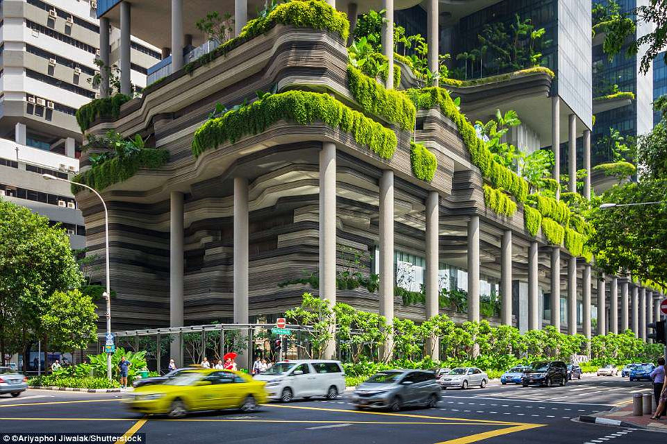 Khung cảnh trở nên nổi bật hơn nhờ thiết kế độc đáo của khách sạn Park Royal ở Singapore. Khách sạn tự hào khi có những khu vườn tầng, những khu lồng chim, cùng một hồ bơi vô cực khổng lồ.