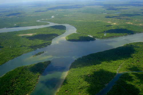 Thượng nguồn của Amazon vẫn là một ẩn số đối với các nhà khoa học. Ảnh: Pinterest.