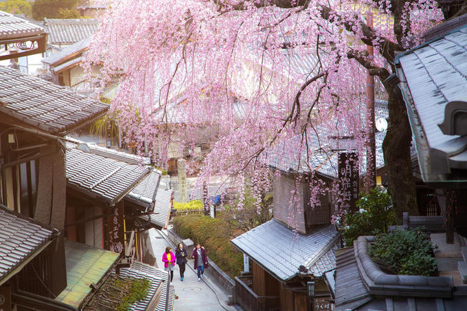Quận Higashiyama, Kyoto, Nhật Bản  Quận Higashiyama tại Tokyo là một trong những nơi tuyệt nhất để khám phá văn hóa truyền thống của người Nhật. Các cửa hàng đồ lưu niệm, đồ ăn, tiệm bánh ngọt và những chùm hoa anh đào trắng hồng đã tạo nên các con đường đẹp như tranh vẽ. Vì vậy du khách thường đi bộ để tận hưởng cảnh sắc, ghé thăm những ngôi nhà mang đậm lối kiến trúc Nhật. Ảnh: Dreamstime.