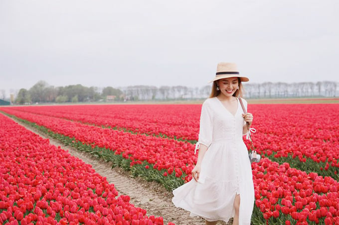 Nơi đầu tiên mà cô đặt chân tới là Hà Lan với những thảm hoa tulip đang vào mùa khoe sắc. Hoa tulip cũng là loài hoa yêu thích từ nhỏ của Linh Phi. "Thật hạnh phúc khi được nhìn thấy thứ mà mình đã được nghe hàng nghìn lần. Tulip - giấc mơ thơ trẻ của tôi", cô chia sẻ. Nhưng thay vì tới vườn Keukenhof nổi tiếng thì Linh Phi lại lựa chọn một cánh đồng hoa tự nhiên, rộng bạt ngàn trên đường đi thăm ngôi làng Giethoorn. "Tulip mùa này thật sự đẹp say lòng người con gái... Nhưng nếu nắng ấm thì khung ảnh ngày hôm ấy sẽ càng tuyệt vời hơn", bà xã Ngô Quang Tuấn kể.