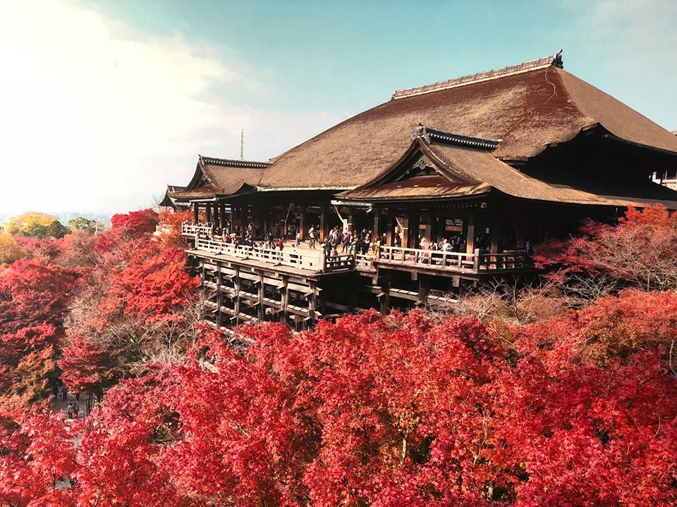 Một bức hình chụp Kiyomizu-dera vào mùa thu treo trong sảnh chính.