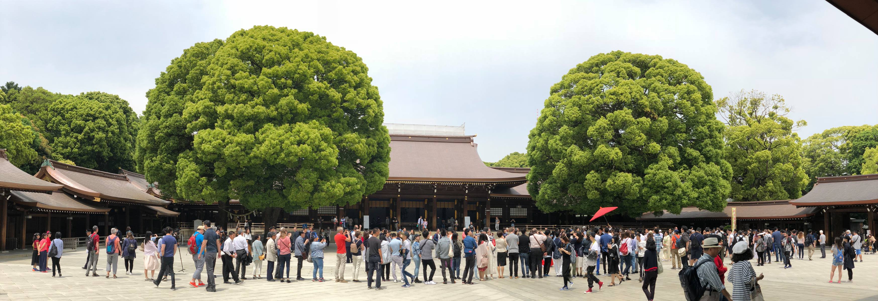 Dòng người xếp hàng chờ xem đám cưới truyền thống ở đền Meiji.