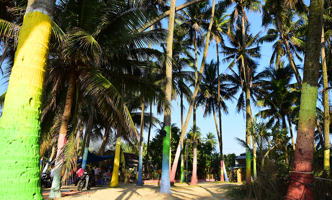 Hàng dừa rực rỡ sắc màu phía cuối làng đã tạo nên một không gian khác lạ.