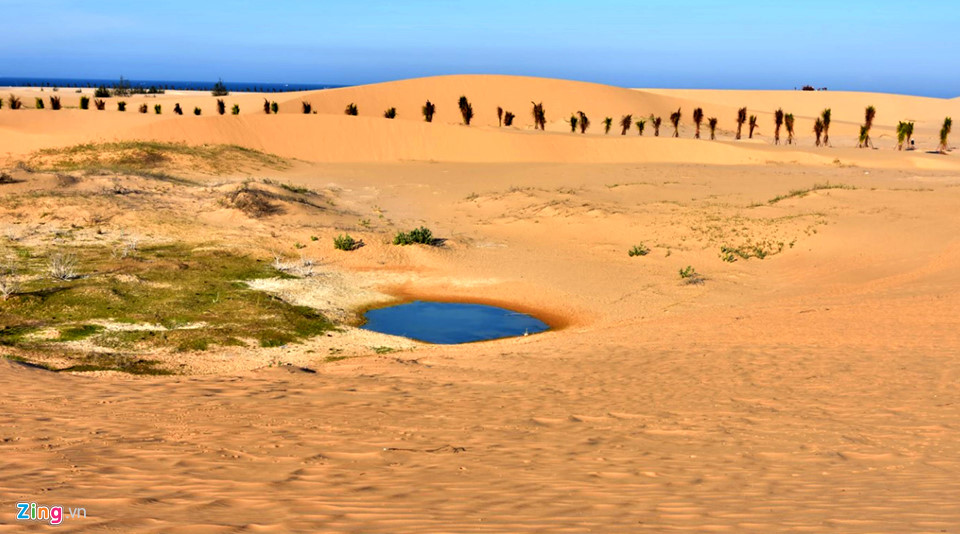 Vũng nước còn sót lại giống hệt viên ngọc bích giữa đồi cát mênh mông.