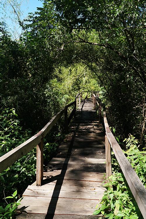 Tên gọi Bàu Sấu được hình thành từ khi chưa có quyết định thành lập vườn này. Đây còn là nơi có diện tích đất ngập nước lớn nhất Vườn Quốc gia Cát Tiên. Bàu có diện tích rộng hơn 2.500 ha vào mùa mưa, song mùa hè mặt bàu chỉ 100-150 ha.